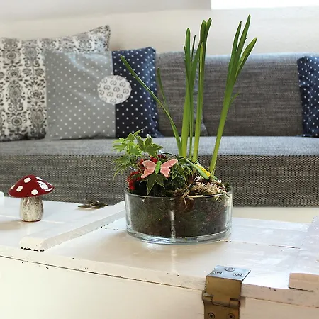 Ostseehaus Oe Sierksdorf