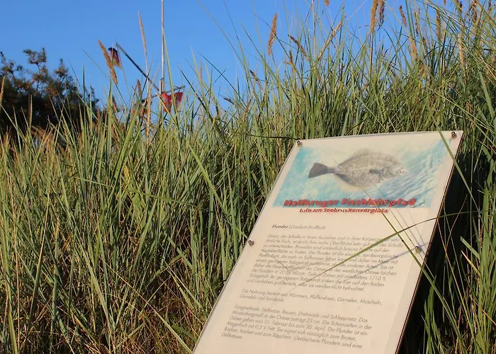 Ostseehaus Oe Appartamento